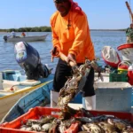 Pesca