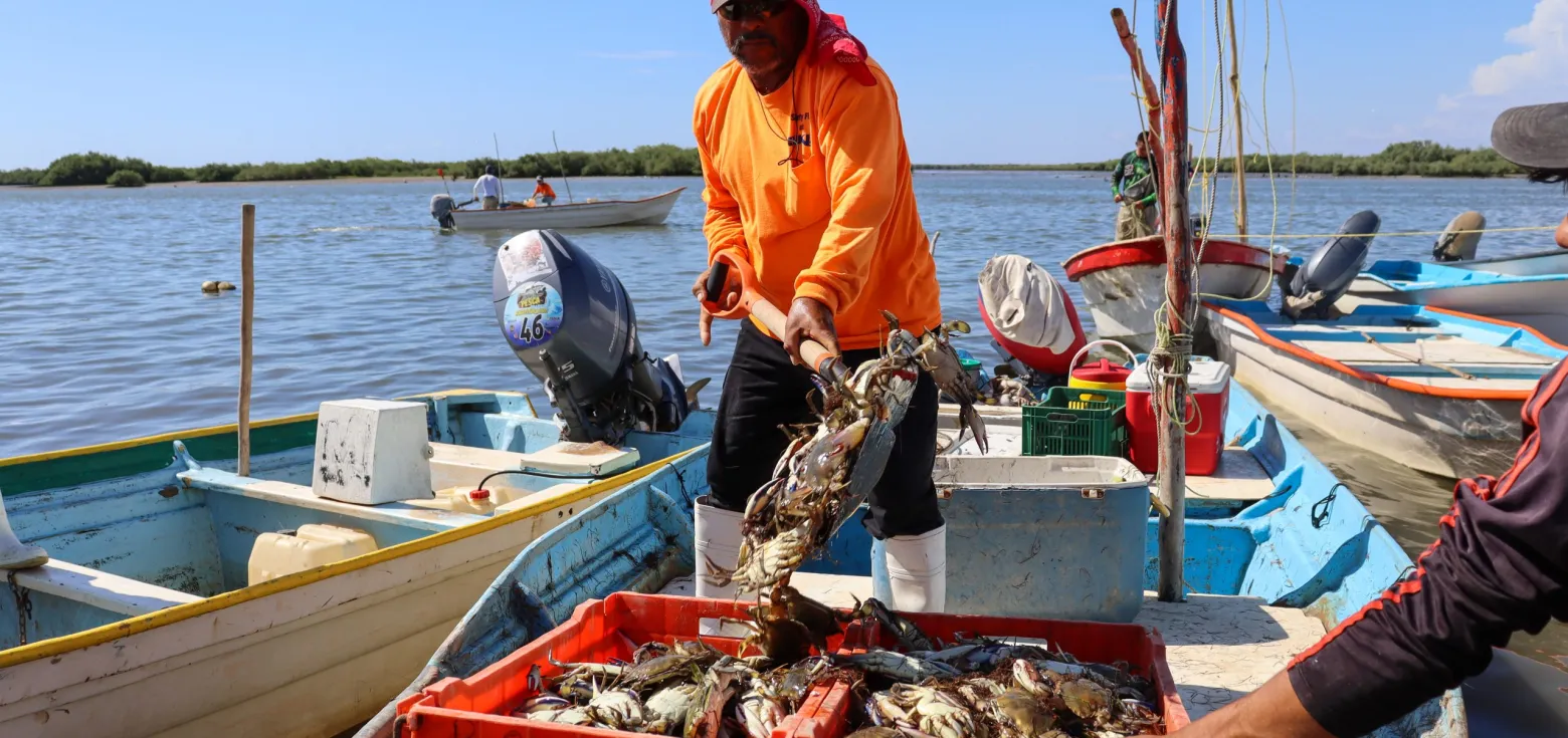Pesca