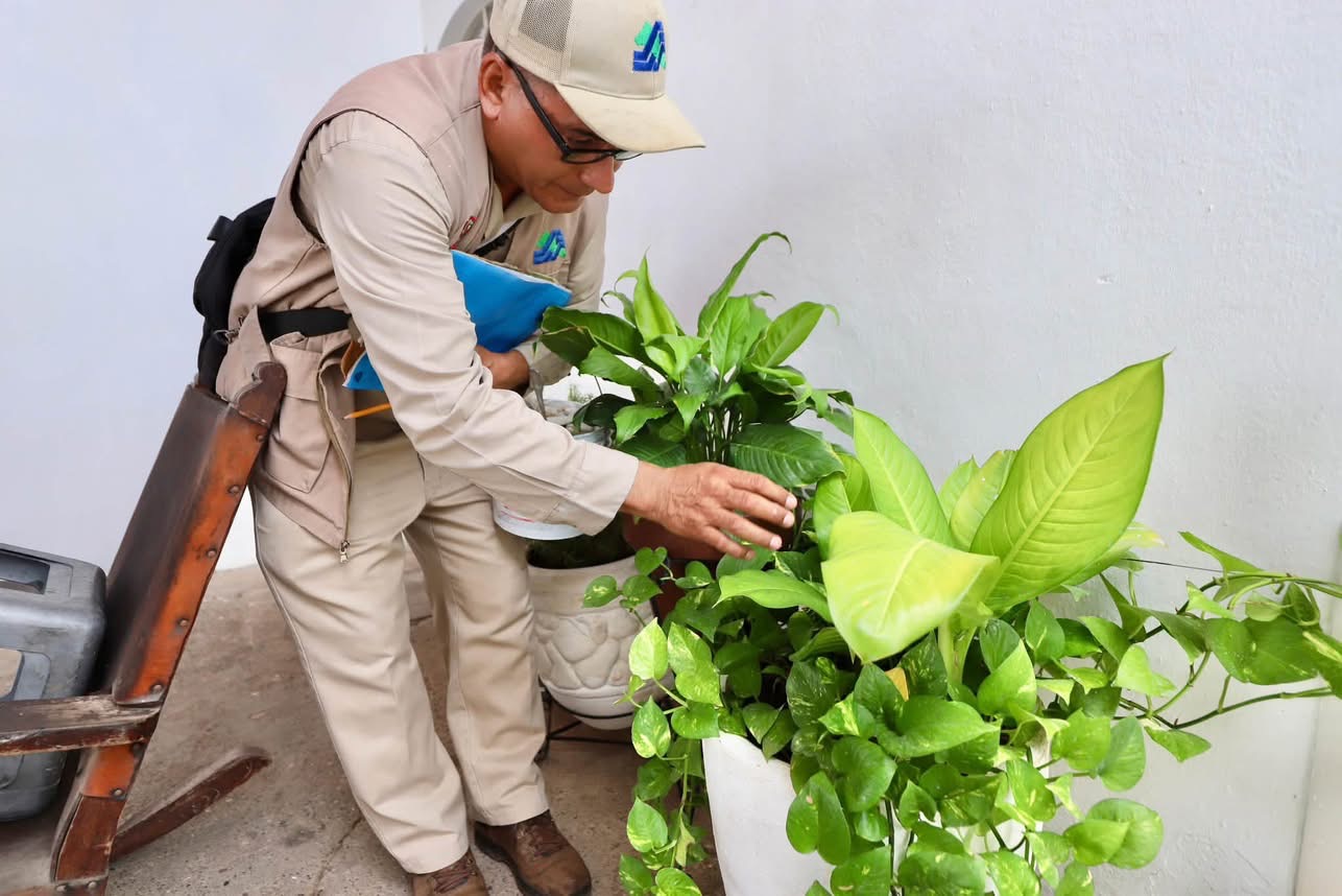 La prevención del dengue empieza en casa: Secretaría de Salud llama a la participación ciudadana