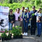 Mocorito impulsa reforestación en cerros afectados por incendios en Cerro Agudo e Higuera de los Vega