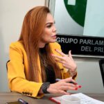 Paola Gárate exige un plan de rescate para comerciantes y empresarios de Mazatlán afectados por la inseguridad